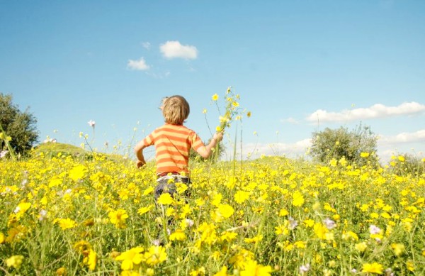 boy-field-flowers