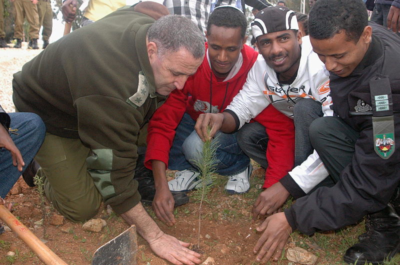 Israel_Defense_Forces_-_New_Immigrants_Plant_Trees_for_Tomorrow