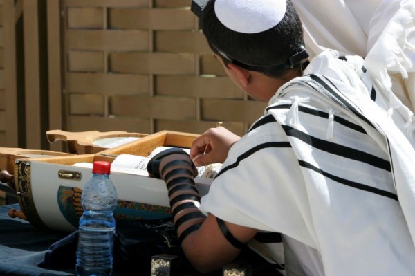 young man-Torah