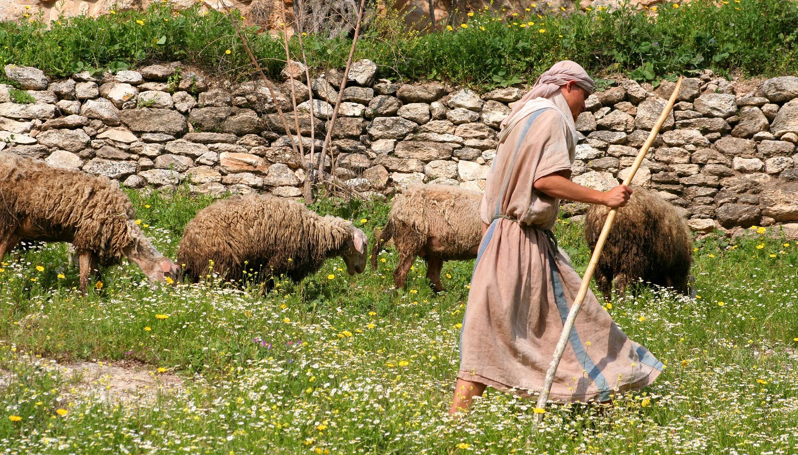 Shepherd-sheep-Israel-traditional garb