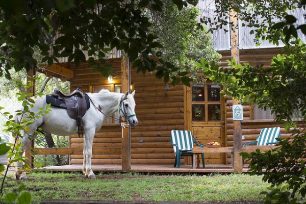 Horse-Cabin-Zimmers-Bed and Breakfast-Shabbat