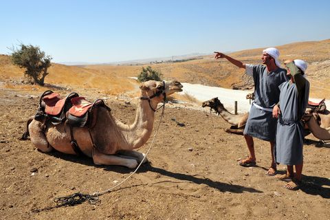 Two Men-Camel-Judean Desert