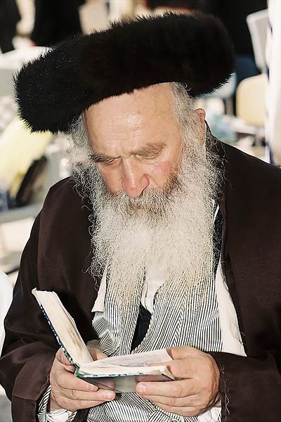 Chasidic Jew-shtreimel-fur hat-Reciting Psalms-Kotel