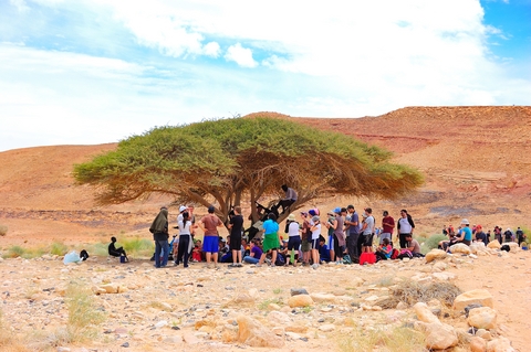 Acacia-refuge-desert