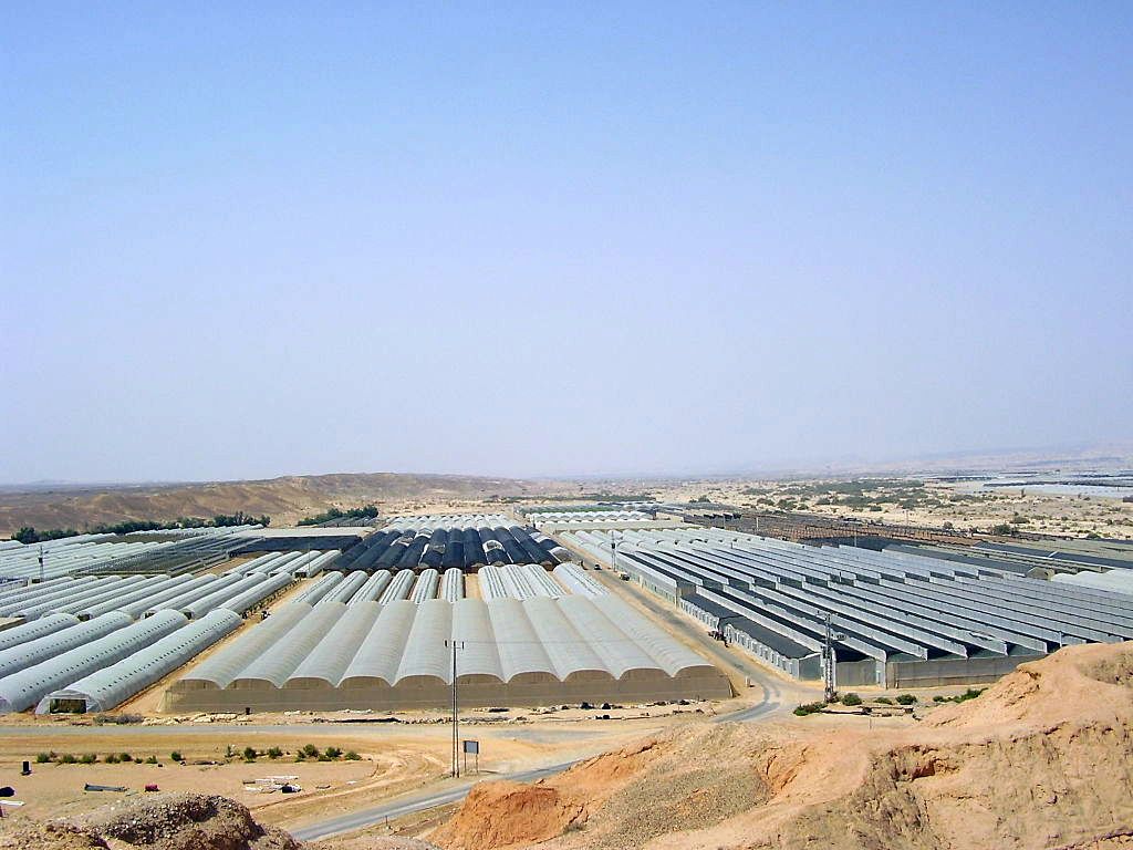 Ein Yahav is a secular agricultural moshav located in the Arava (meaning desolate or dry area) Desert.  It has 165 families and 550 residents.  The moshav recently named its new melon after Justin Timberlake, who performed in Tel Aviv on Jerusalem Day.