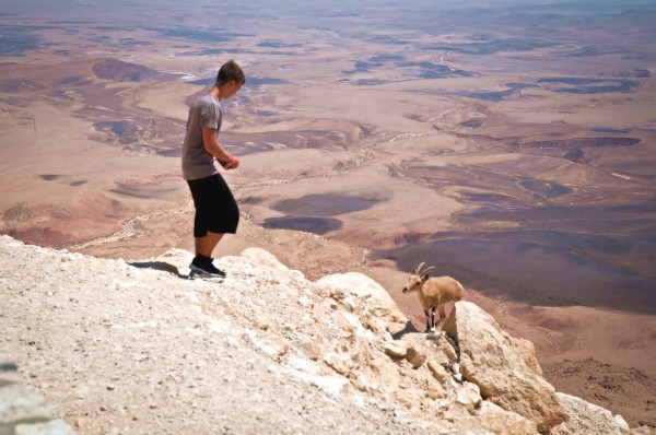 lad-morsel-goat-Makhtesh Ramon-Negev