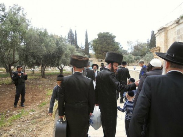 Jews-Temple Mount-visit-Orthodox