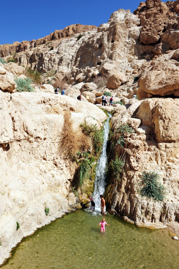 Ein-Gedi