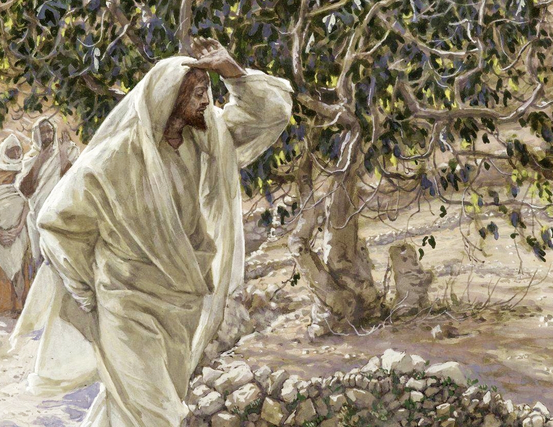 Accursed-Fig-Tree-Le-figuier-maudit-James-Tissot