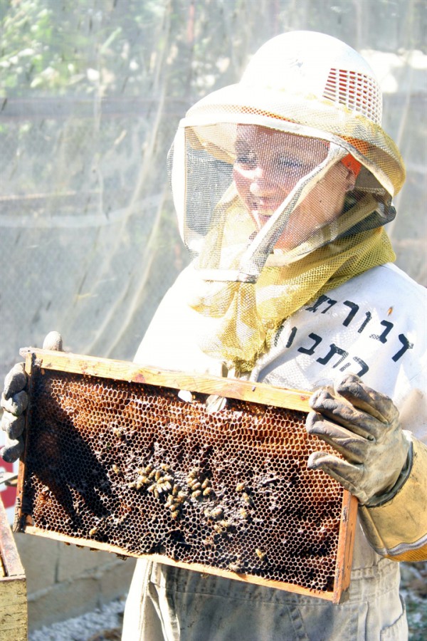 A visit to a honey farm in the Lower Galilee region of Israel. (Photo: Go Israel)