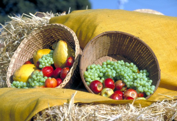 Baskets of fruit harvested in Israel (Photo: Go Israel)