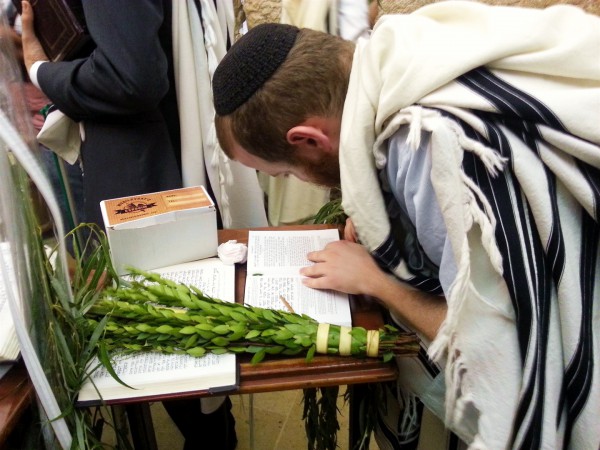 A Jewish man wearing a tallit (prayer shawl) prays using a siddur (prayer book) during Sukkot.