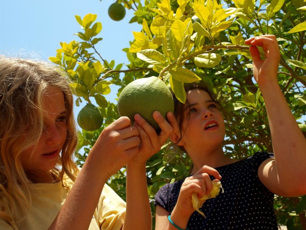 Eshba-Farm-Go-Israel-Tal-Glick