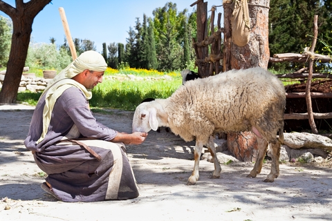 An Israeli portrays a Biblical shepherd