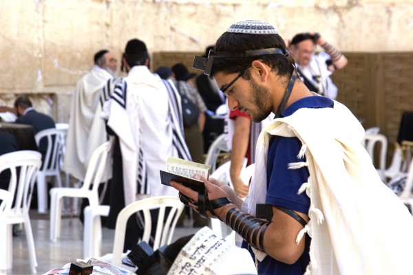 A Jewish man wearing a kippah, tefillin (phylacteries), and a tallit (prayer shawl) prays at the Western (Wailing) Wall using a siddur (prayer book).