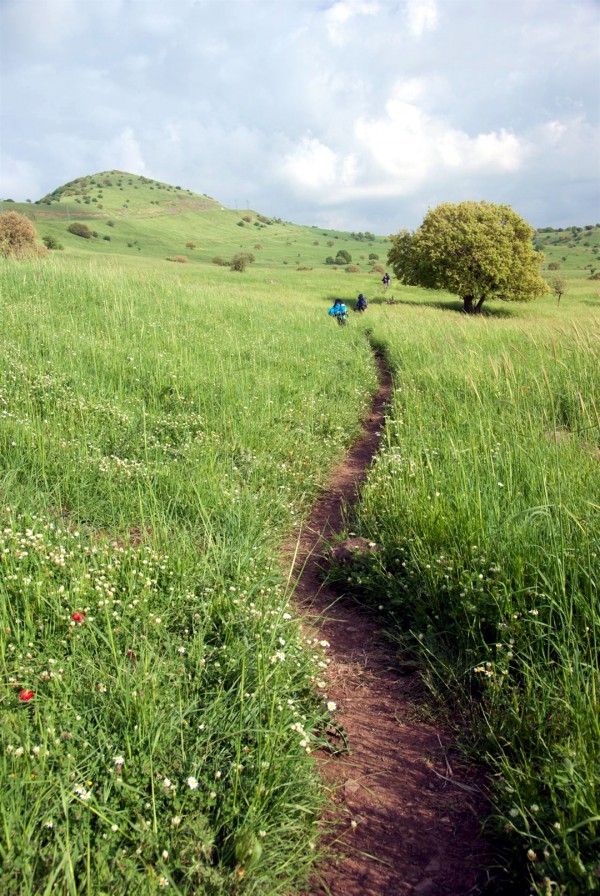 "Give careful thought to the paths for your feet and be steadfast in all your ways." (Proverbs 4:26)