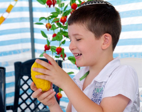 sukkah-Israel-etrog-citron-Four Species