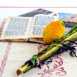 A lulav and etrog (citron)