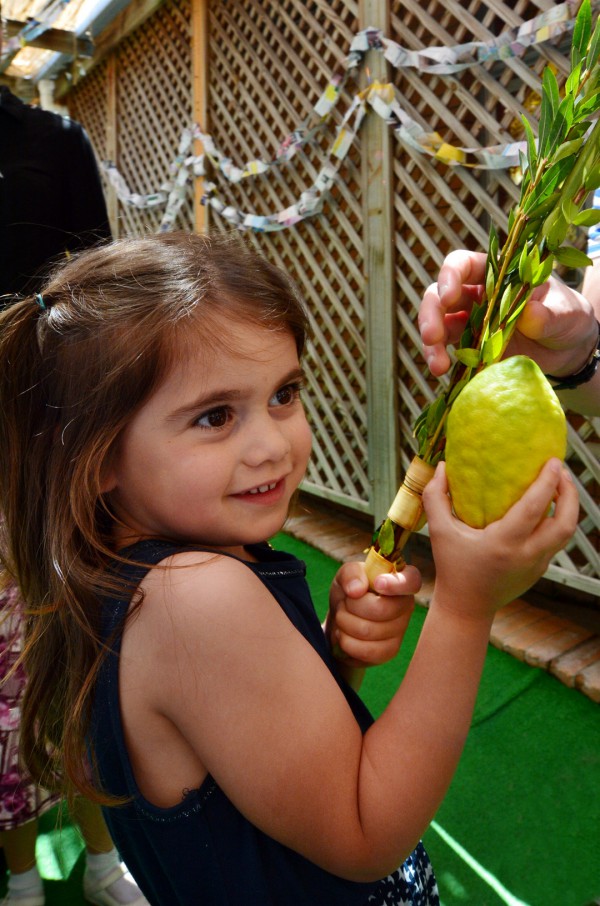 Sukkot-sukkah-Arba Minim