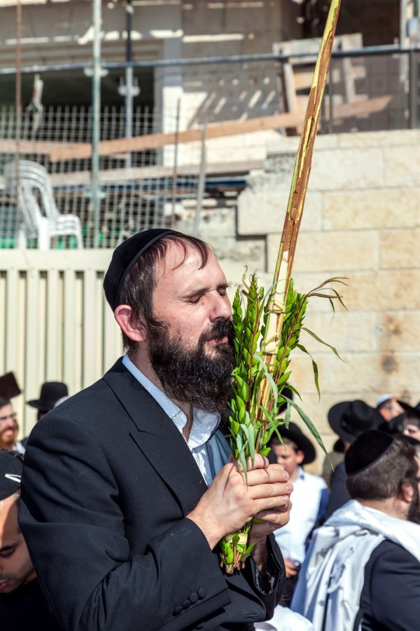 Kotel-Jewish Prayer-Sukkot-Arba Minim-Four Species