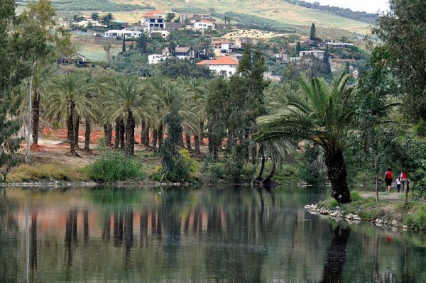 Kinneret-Holy Land