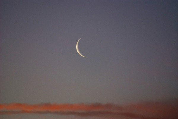 new moon-Rosh Chodesh