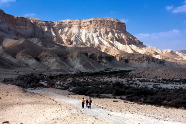 Negev-settlement-Israel-Aliyah