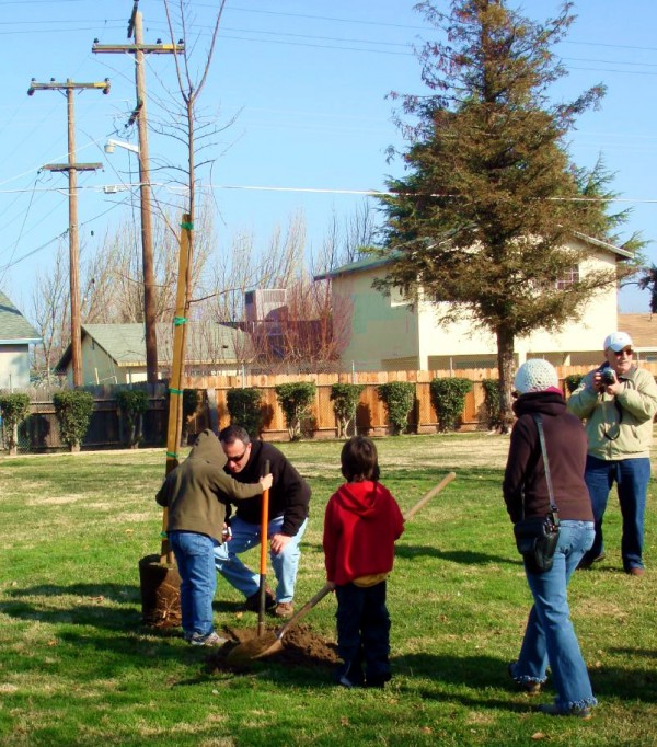 An Israel family plants a tree on Tu B'Shvat.