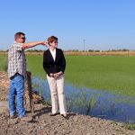 California rice growing, Israeli agitech, drip irrigation, California drought