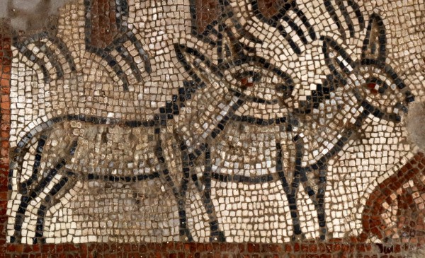 Huqoq, Noah's Ark, mosaic, ancient synagogue