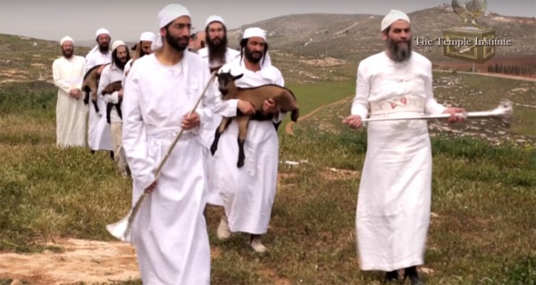 Passover offering, Cohen, Priests