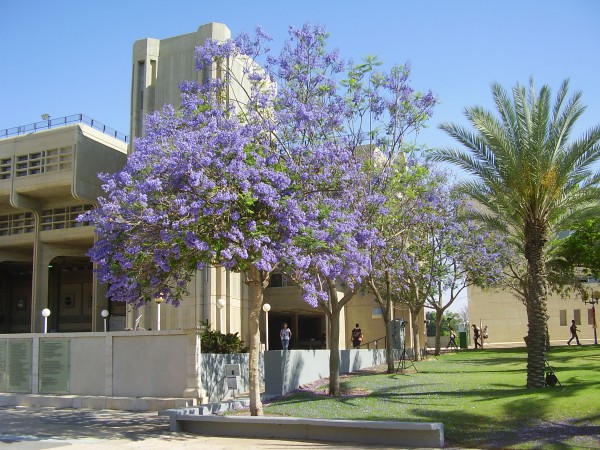 Ben Gurion University