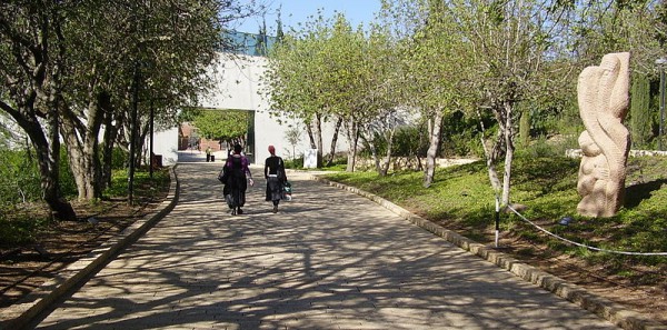 Avenue of the Righteous Among the Nations at Yad Vashem in Jerusalem